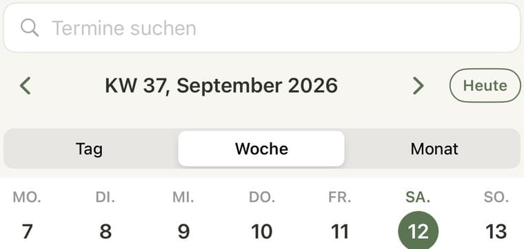 Die Kalenderwoche mit der Umschaltung zwischen Tag, Woche und Monat